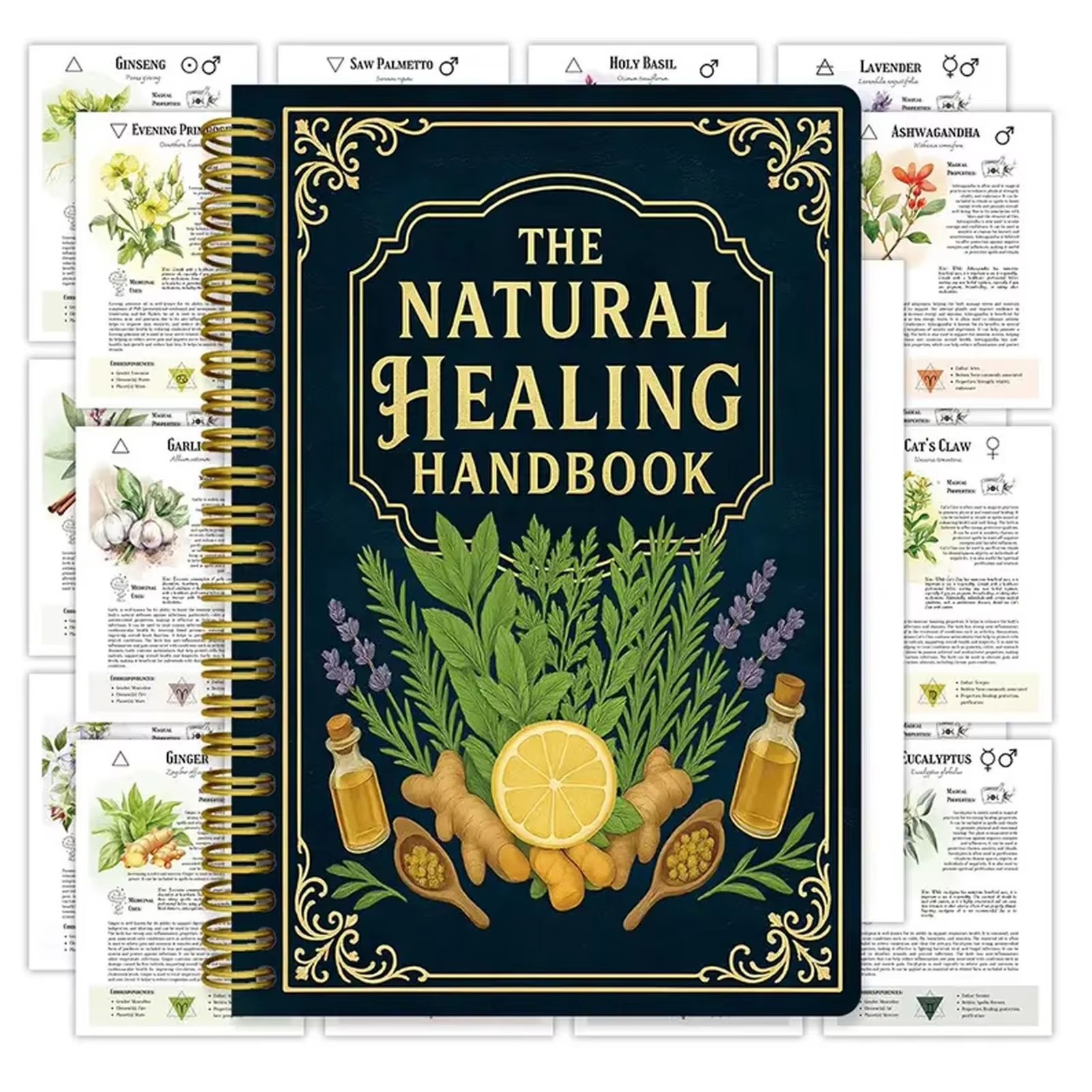 Healing Handbook By Luna Filby - Healing Wellness 리뷰 및 가격